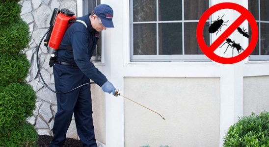 Bozcaada Fare İlaçlama böcek ilaçlama ve haşere kontrolü — ilaclama-tr.com